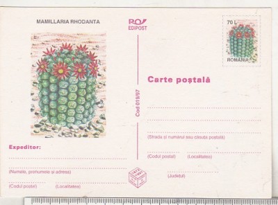 bnk cp Cactusi - necirculata - marca fixa - 019/97 foto