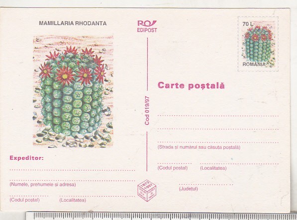 bnk cp Cactusi - necirculata - marca fixa - 019/97