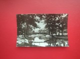 CARTE POSTALA - RPR - BUZAU - VEDERE DIN PARCUL CRANG