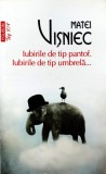 Cumpara ieftin Iubirile de tip pantof. Iubirile de tip umbrela (Top 10+) - 2018 - Matei Visniec (X326)