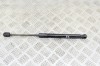 Amortizor capota st&acirc;nga față TESLA MODEL 3 2020 OEM: 1091472-00-B 13630769