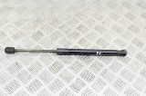 Amortizor capota st&acirc;nga față TESLA MODEL 3 2020 OEM: 1091472-00-B 13630769