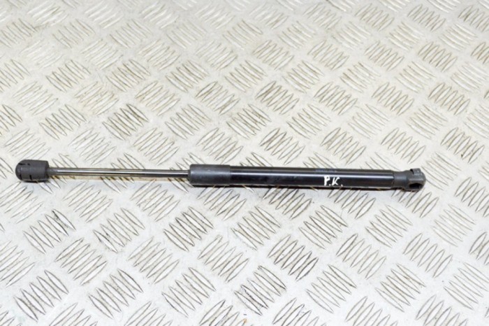 Amortizor capota st&acirc;nga față TESLA MODEL 3 2020 OEM: 1091472-00-B 13630769