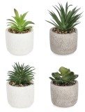 Cumpara ieftin Set 4 plante suculente artificiale in ghiveci ciment &Oslash;9x13h