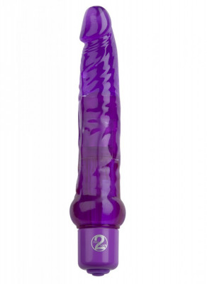 Vibrator Jelly Anal Violet 7 foto