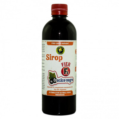 Sirop fier cu coacaze negre f.zahar 500ml hypericum foto