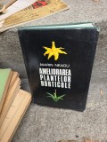 Ameliorarea plantelor horticole