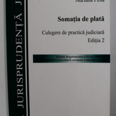SOMATIA DE PLATA - CULEGERE DE PRACTICA JUDICIARA de ADRIANA PENA , 2008