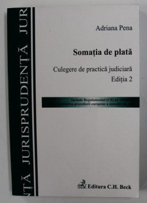 SOMATIA DE PLATA - CULEGERE DE PRACTICA JUDICIARA de ADRIANA PENA , 2008 foto