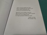 CAIETUL MAYEI * ISABEL ALLENDE * 2011 * 3 2 8