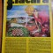 flacara 23 februarie 1974-articol ostra ,jud. suceava,cenaclul flacara