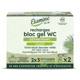 Rezerva 2 Pastile Gel pentru Curatare si Detartrare Toaleta cu Parfum de Pin si Eucalipt 100ml