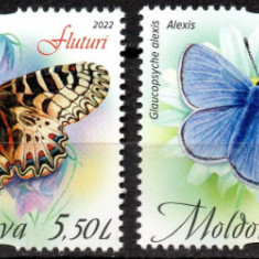 MOLDOVA 2022, Fluturi, Fauna, serie neuzata, MNH