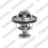 CALORSTAT by Vernet TH6295.82J termostat,lichid racire