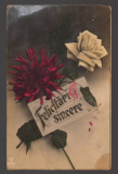 CPIB 20803 FELICITARE - FELICITARI SINCERE, FLORI, 1911