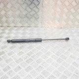 Amortizor Haion Stanga Fiat 500X (334_) 2016-Original OEM 00520315180