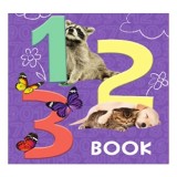 Carte pentru copii 1 2 3 Book Editura Page Publications Prescolari