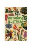 Botanica ilustrată - Hardcover - Maria Carmen Soria - Didactica Publishing House