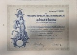 Acțiune 1000 lei Banca Populară P&acirc;ncota &ndash; Pankotai N&eacute;pbank, 1920, nr. 1523, cu cupoane