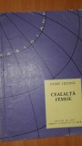 Cealalta femeie- Doris Lessing