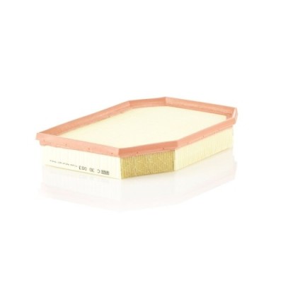 Filtru aer Mann-Filter C30003 foto