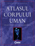 Cumpara ieftin Atlasul corpului uman, Corint