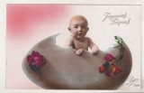 bnk cp Franta - Felicitare - 1931