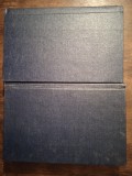 CAVALEII TEUTONI- HENRYK SYNKIEWICZ