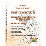 Matematica. Exercitii si probleme pentru clasa a 8-a semestrul 1 - Delia Schneider