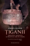Cumpara ieftin Tiganii. Originile. Migratia si prezenta lor in Europa/Angus Fraser