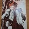 revista pentru femei - mariana - 15 noiembrie 1940 - moda , retete culinare ,ghandi