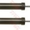 Amortizor VW PASSAT (3C2) (2005 - 2010) TRW JGT589T