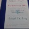program Vladimirescu 2003 - Crisul Ch. Cris