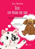 Jup, un pisoi de soi (vol. 6): Cele trei reguli ale greselii - Univers