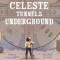Celeste Tunnels Underground