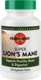 Super lion&quot;s mane 120tb secom