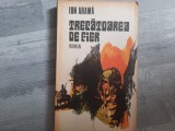 Trecatoarea de fier de Ion Arama