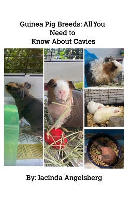 Guinea Pig Breeds: All You Need to Know About Cavies foto