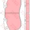 Set placute frana,frana disc IVECO DAILY V platou / sasiu (2011 - 2014) TRW GDB5068