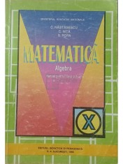 C. Nastasescu - Matematica - Algebra - Manual pentru clasa a X-a (Editia: 1999) foto