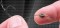 Foto  - 3