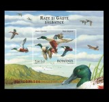 2007 - Rate si g&acirc;ște sălbatice, colita neuzata