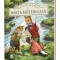 Hector Vulpoi Si Harta Misterioasa, Astrid Sheckels - Editura DPH