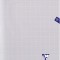 Caiet A4 matematica 96 pagini, CLAIRE FONTAINE