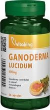 Extract de Ganoderma 400mg Vitaking 60cps Cod: vk1720 foto