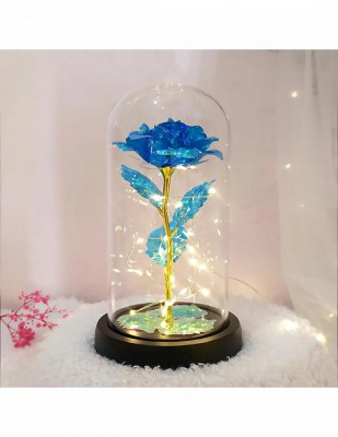 Cupola cu trandafir albastru si luminite pentru Valentines Day foto