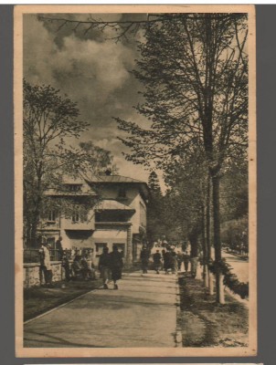 CPIB 15579 CARTE POSTALA - SINAIA. VEDERE, RPR LIBRARIA NOASTRA foto