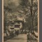 CPIB 15579 CARTE POSTALA - SINAIA. VEDERE, RPR LIBRARIA NOASTRA