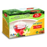 Ceai Natural 7 Plante Fares 20dz