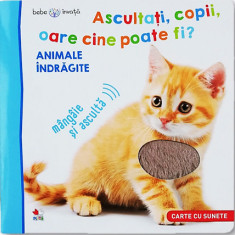 Bebe invata. Ascultati, copii, oare cine poate fi? - Animale indragite |